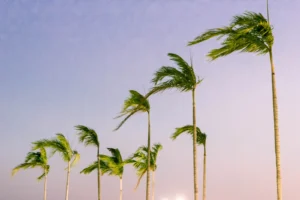 Het weer op curacao het weer op curacao