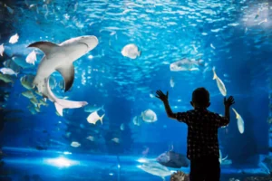 kindvriendelijk resort op Curacao